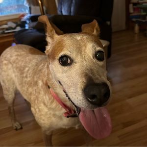 Meet your Posher, Vicky